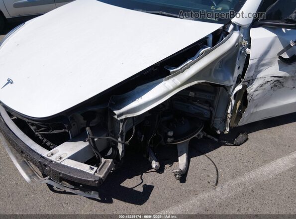 7SAYGDEE8PA025301 2023 TESLA MODEL Y White Widok z przodu