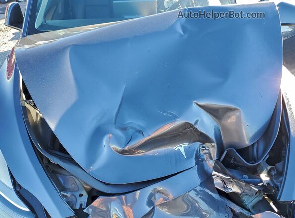 7SAYGDEE8PA050599 2023 TESLA MODEL Gray 