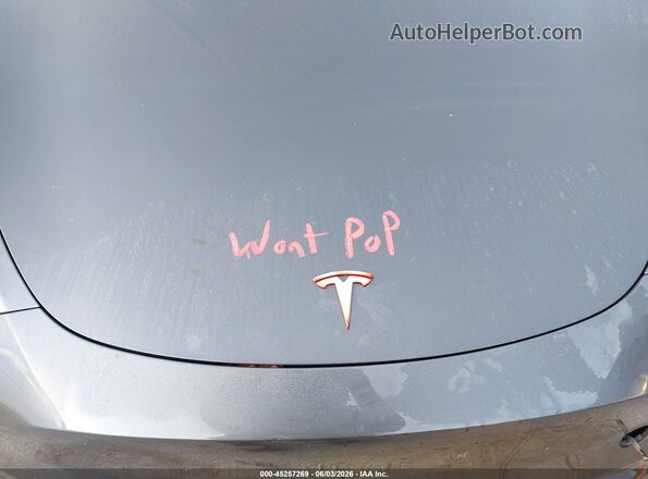 7SAYGDEE8PF639929 2023 TESLA MODEL Y Gray Vista trasera