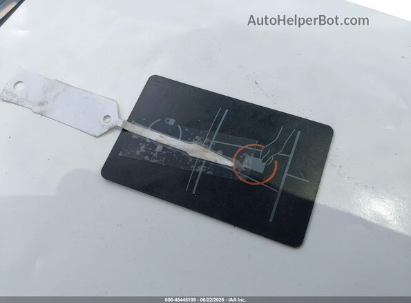 7SAYGDEE8PF807391 2023 TESLA MODEL Y Gray Widok z tyłu