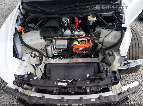 7SAYGDEE8TF426294 2026 TESLA MODEL Y White Հետևի տեսք