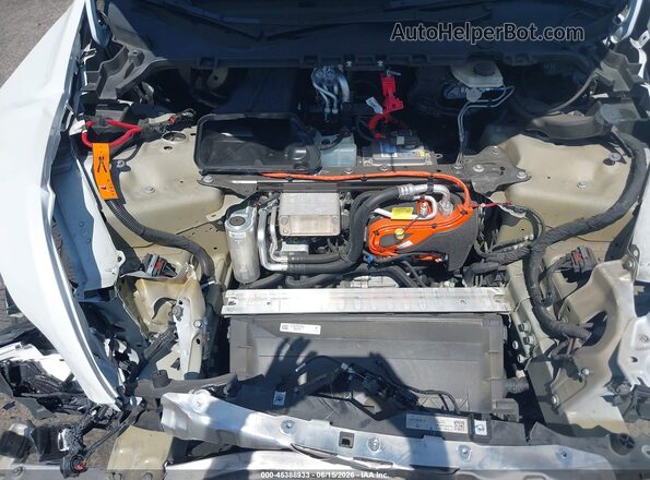 7SAYGDEE9PF797597 2023 TESLA MODEL Y Белый Вид сзади