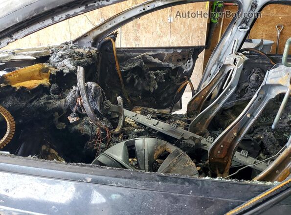 7SAYGDEE9RA318787 2024 TESLA MODEL Пожар Вид салона спереди