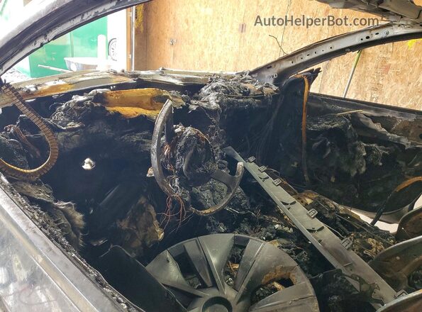 7SAYGDEE9RA318787 2024 TESLA MODEL Пожар Вид панели приборов