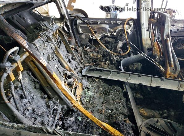 7SAYGDEE9RA318787 2024 TESLA MODEL Пожар Вид задних сидений