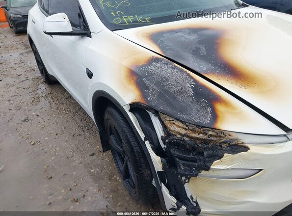 7SAYGDEE9TF408600 2026 TESLA MODEL Y White Դիմացի տեսք