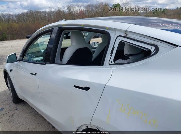7SAYGDEEXPA098525 2023 TESLA MODEL Y White 