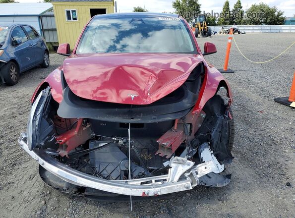 7SAYGDEEXPA166659 2023 TESLA MODEL Красный 