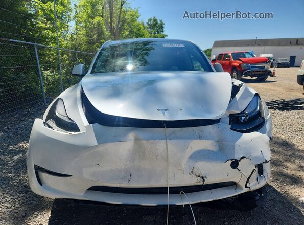 7SAYGDEEXRA274556 2024 TESLA MODEL Белый Вид спереди