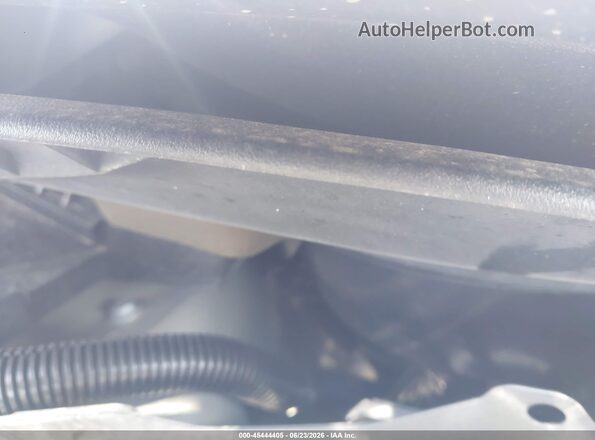 7SAYGDEF6NF448032 2022 TESLA MODEL Y Серый Вид сзади