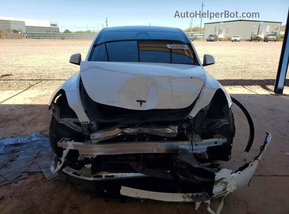 7SAYGDEF7RF179044 2024 TESLA MODEL White Widok z przodu