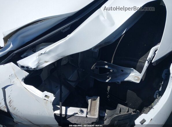 7SAYGDEF9RF126958 2024 TESLA MODEL Y White 