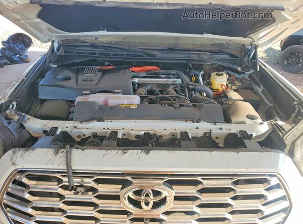 7SVAAABA3TX086659 2026 TOYOTA SEQUOIA White Widok wnętrza z tyłu