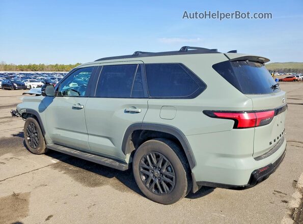 7SVAAABA4SX068251 2025 TOYOTA SEQUOIA Серый 