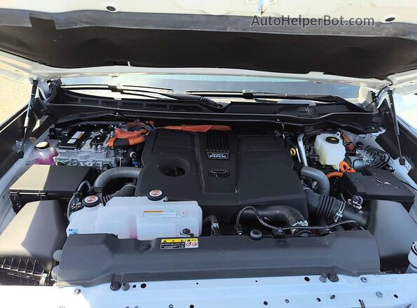 7SVAAABA4TX083561 2026 TOYOTA SEQUOIA White Vista de la etiqueta del VIN