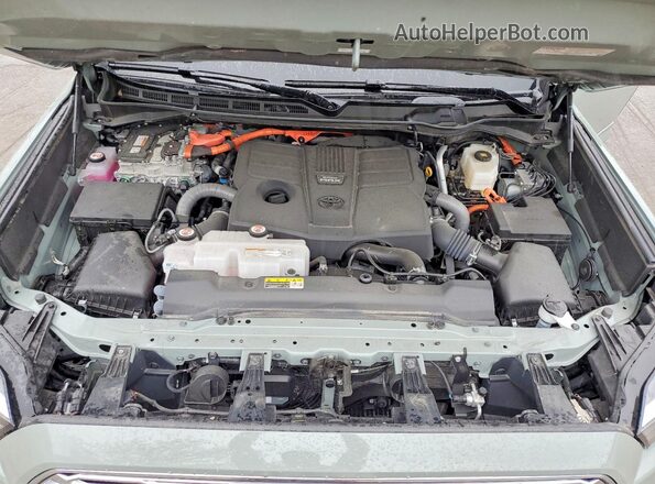 7SVAAABA7SX063528 2025 TOYOTA SEQUOIA Green 