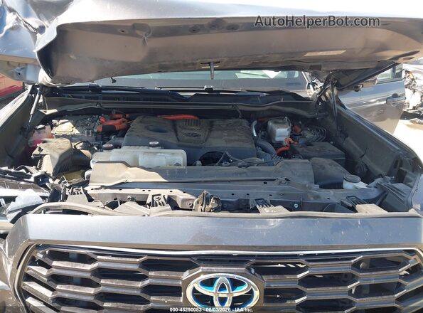 7SVAAABA9PX013561 2023 TOYOTA SEQUOIA Gray Widok z tyłu
