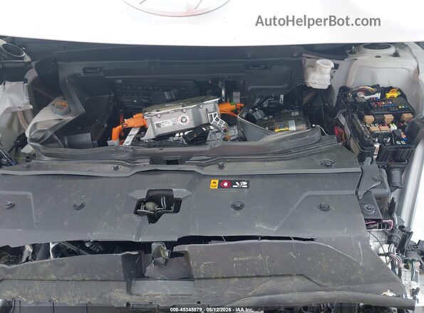 7YAKNDDC6TY065374 2026 HYUNDAI IONIQ 5 Белый Вид сзади