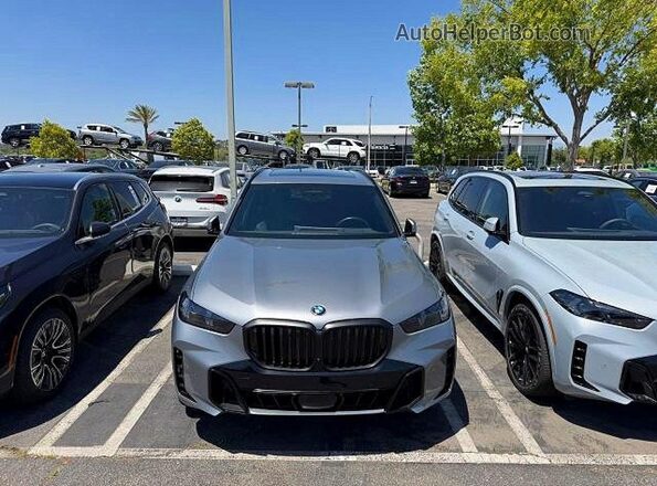 5UX13EU02S9X86691 2025 BMW X5 Серый Вид наклейки с VIN-кодом