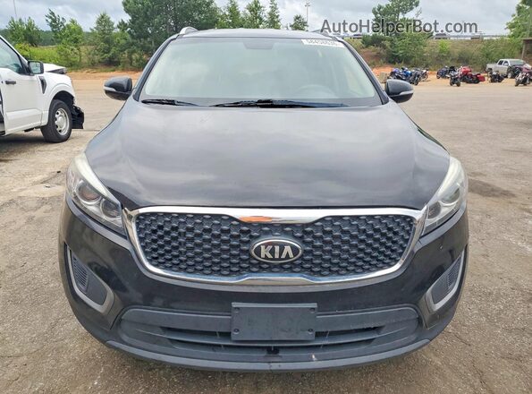 5XYPG4A57GG036624 2016 KIA SORENTO Black Вид ззаду