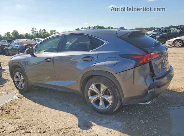 JTJYARBZ2H2083198 2017 LEXUS NX Gray Rear right