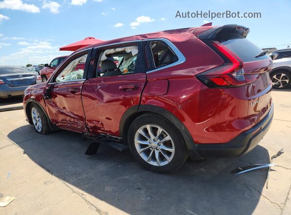 5J6RS3H76RL007819 2024 HONDA CR-V Burgundy 