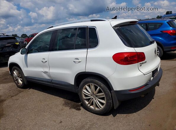 WVGAV7AX7GW564189 2016 VOLKSWAGEN TIGUAN White Trasero derecho