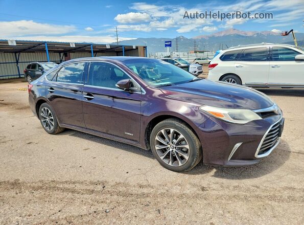4T1BD1EB2GU051396 2016 TOYOTA AVALON Purple 