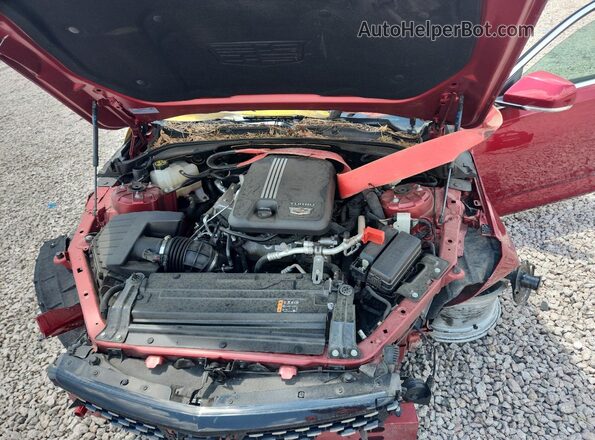 1G6DB5RK5N0119508 2022 CADILLAC CT4 Red Engine compartment view