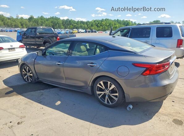 1N4AA6AP1GC904549 2016 NISSAN MAXIMA Gray Հետևի աջ