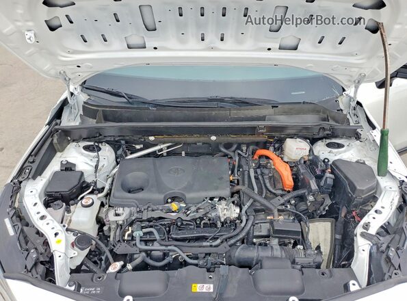 JTEAAAAHXRJ185172 2024 TOYOTA VENZA Белый Вид наклейки с VIN-кодом