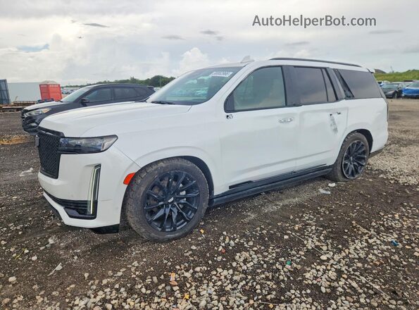 1GYS3FKLXPR495589 2023 CADILLAC ESCALADE White Задня ліва чверть