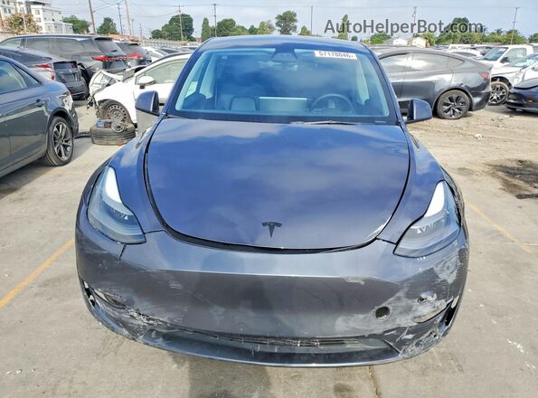7SAYGDEE4PF789875 2023 TESLA MODEL Серый Вид сзади