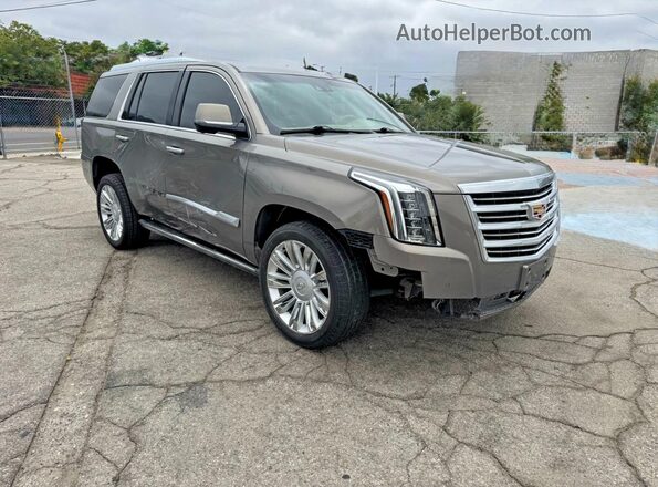 1GYS3DKJ7KR173584 2019 CADILLAC ESCALADE Gray Rear left