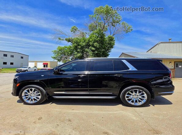 1GYS4CKL6PR510374 2023 CADILLAC ESCALADE Black VIN კოდის სტიკერის ხედი