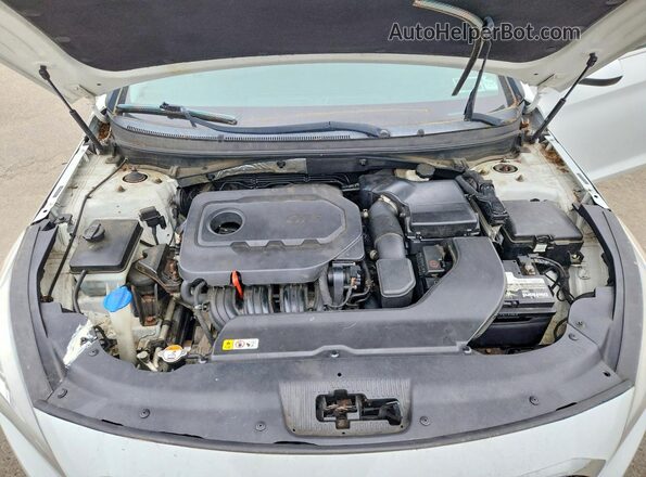 5NPE24AF0GH344077 2016 HYUNDAI SONATA White ძრავის განყოფილების ხედი