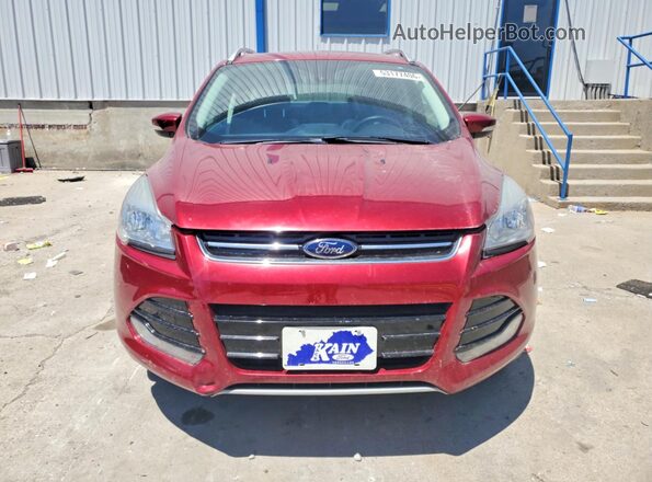 1FMCU9JX0GUA37050 2016 FORD ESCAPE Red Հետևի տեսք