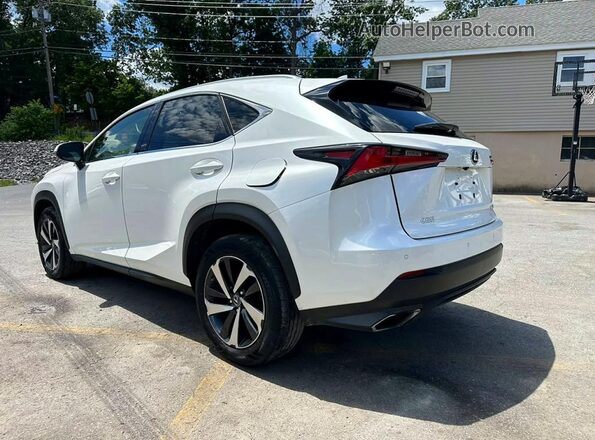 JTJBARBZ4K2179699 2019 LEXUS NX White Tył prawy