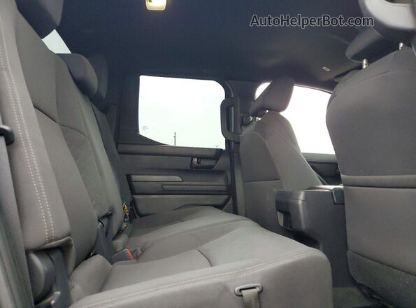 3TMKB5FN5SM032557 2025 TOYOTA TACOMA Black Vista interior trasera