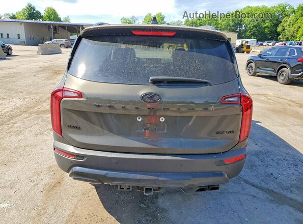 5XYP5DHC5MG141118 2021 KIA TELLURIDE Коричневый Вид салона спереди