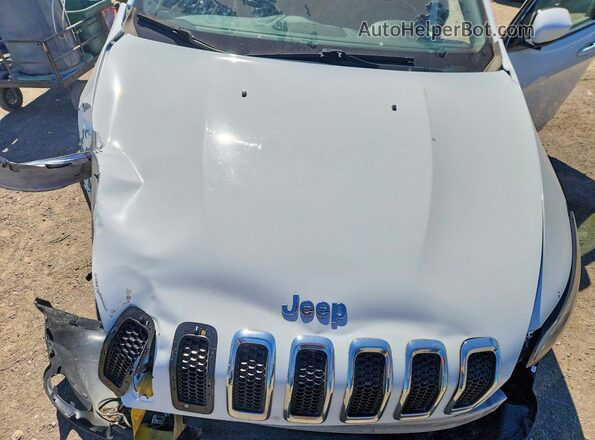 1C4PJMDS5HW598609 2017 JEEP CHEROKEE Белый Вид наклейки с VIN-кодом