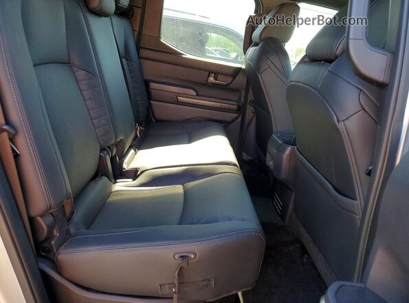 3TMLB5JN1SM092394 2025 TOYOTA TACOMA Silver 