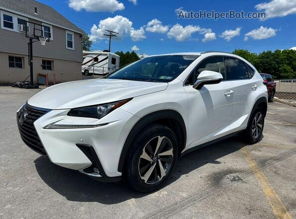 JTJBARBZ4K2179699 2019 LEXUS NX White Tył lewy