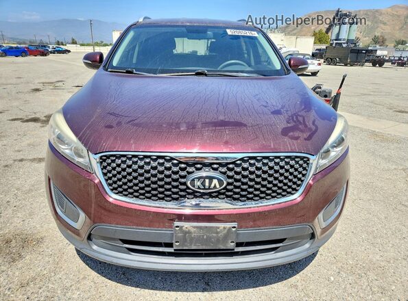 5XYPG4A36GG125583 2016 KIA SORENTO Burgundy 