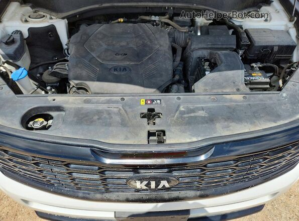 5XYP5DHC7LG044887 2020 KIA TELLURIDE Белый Вид наклейки с VIN-кодом