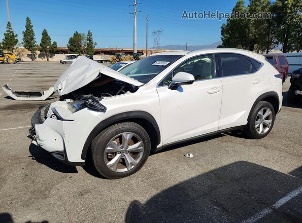 JTJYARBZ5H2063186 2017 LEXUS NX Белый 