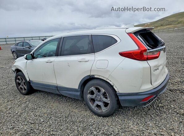 5J6RW2H59HL016414 2017 HONDA CR-V White Tył prawy