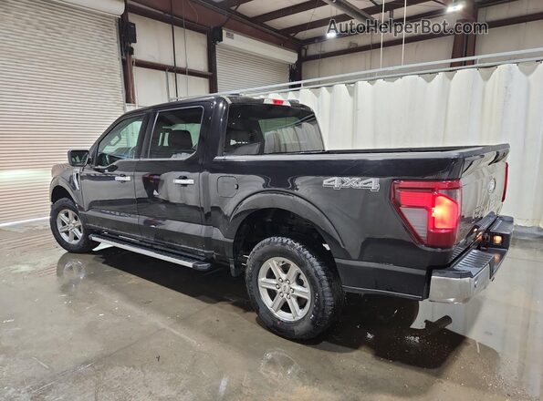1FTEW3LP5SKE06698 2025 FORD F150 Black 