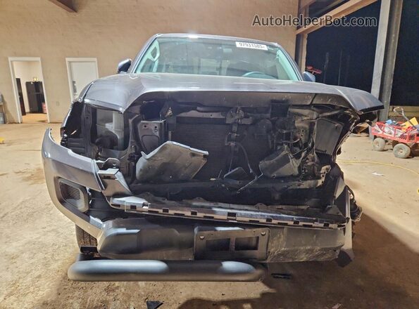 5TFCZ5AN2MX256597 2021 TOYOTA TACOMA Gray Widok z tyłu