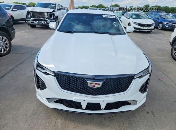 1G6DA5RK1N0136440 2022 CADILLAC CT4 Белый 